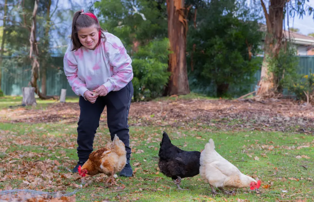Girl in pink feeding 3 chickens